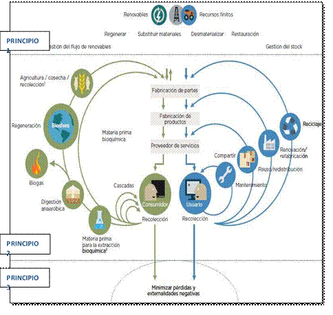 Esquema de una economía circular.
Adaptado de (MacArthur, hacia una economía circular:
motivos económicos para una transición acelerda, 2019)