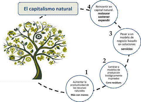Ciclo del capitalismo natural. Adaptado
de (Ecosistemas, 2012)