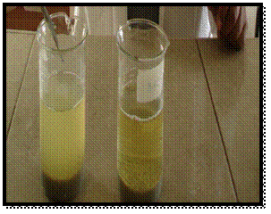 Coagulante (hidróxido de calcio y alumbre)